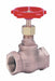 Globe Valve 1-1/4 Bronze FNPT 200 psi