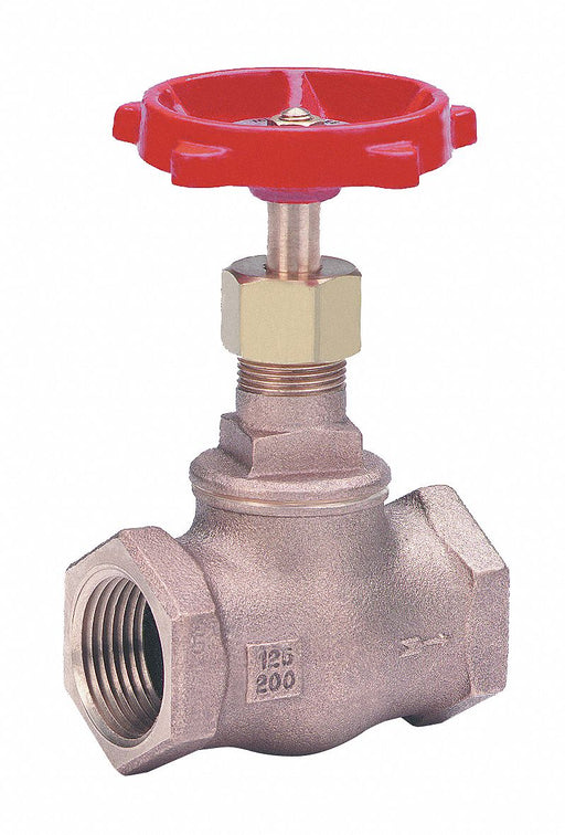 Globe Valve 2-1/2 Bronze FNPT 200 psi