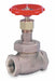Globe Valve 2-1/2 Bronze FNPT 300 psi