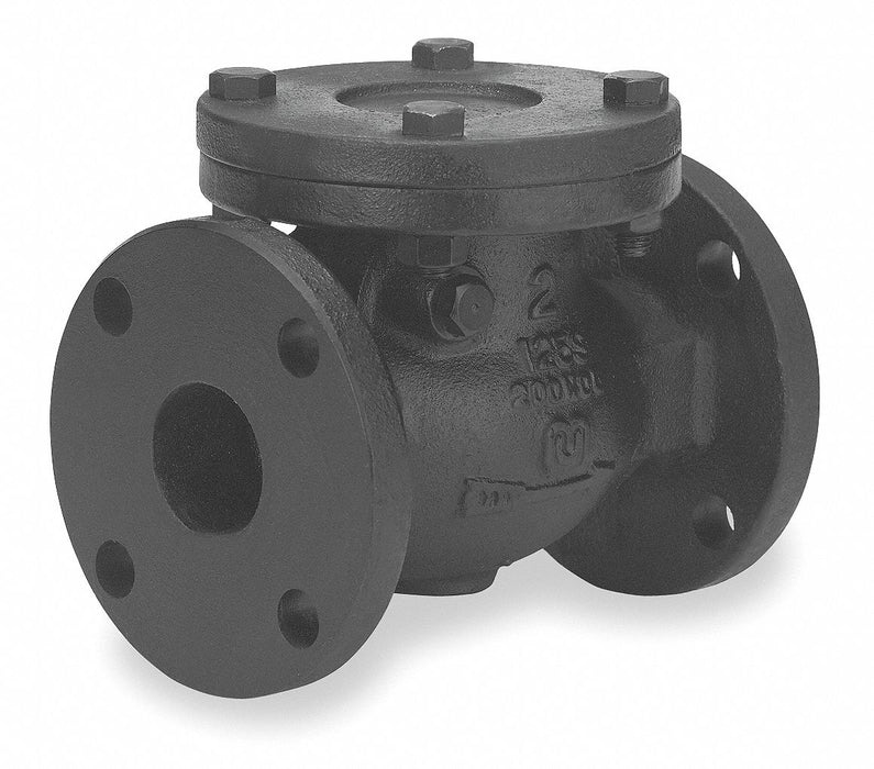 Swing Check Valve 8 in Overall L