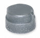 Round Cap Malleable Iron 2 in FNPT