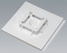 Cable Tie Base 4 Way Natural PK50
