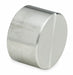 Round Cap 304 SS 2 in Class 3000