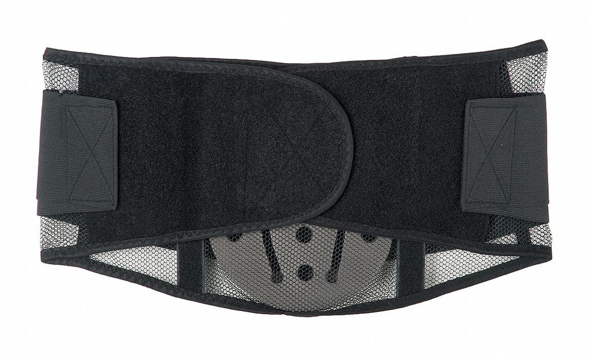 D0586 Back Support with Lumbar Pad Black XL