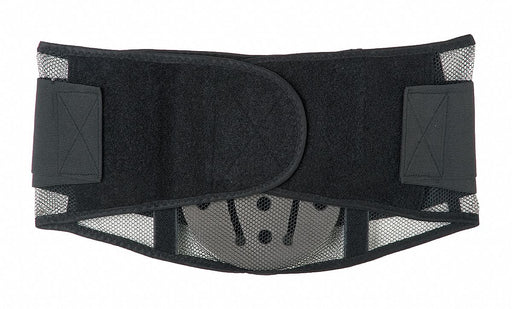 D0586 Back Support with Lumbar Pad Black XL