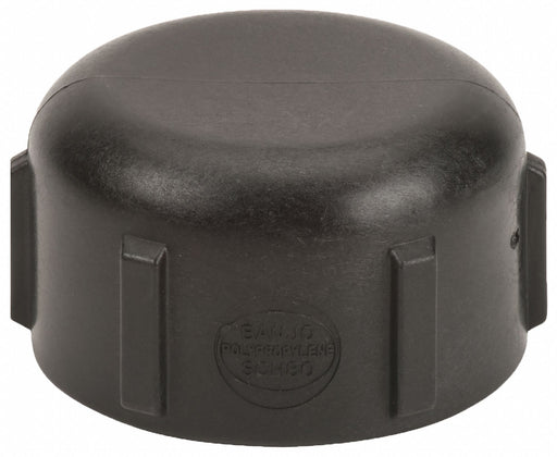 Cap 2 in Pipe Size Schedule 80 FNPT