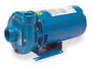 Pump 3/4 HP 1 Ph 115/230VAC
