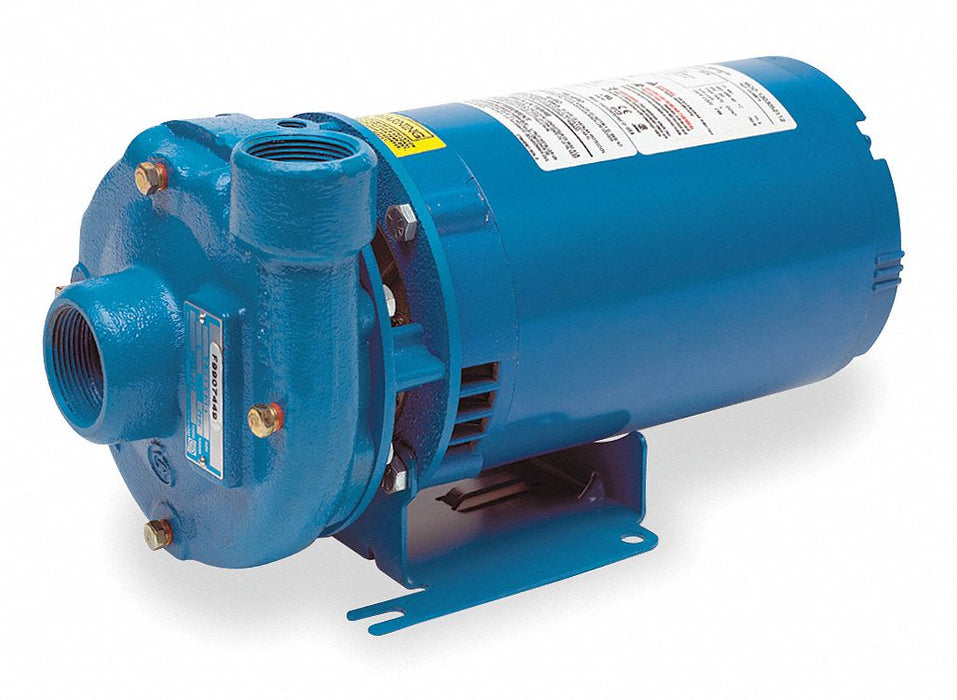 Pump 3/4 HP 1 Ph 115/230VAC