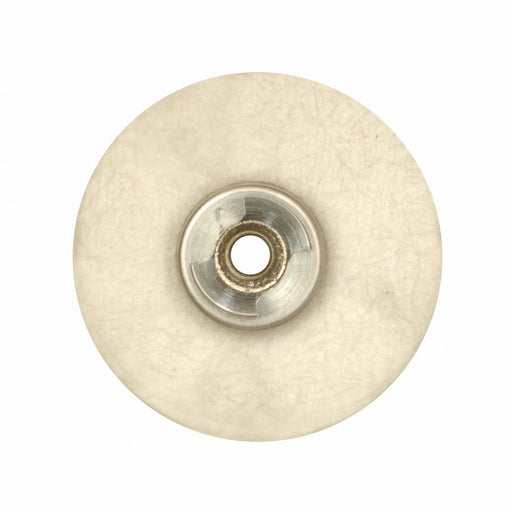 Polishing Wheel Disc Shank 1/8 