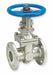 Gate Valve 4 316 SS Flange