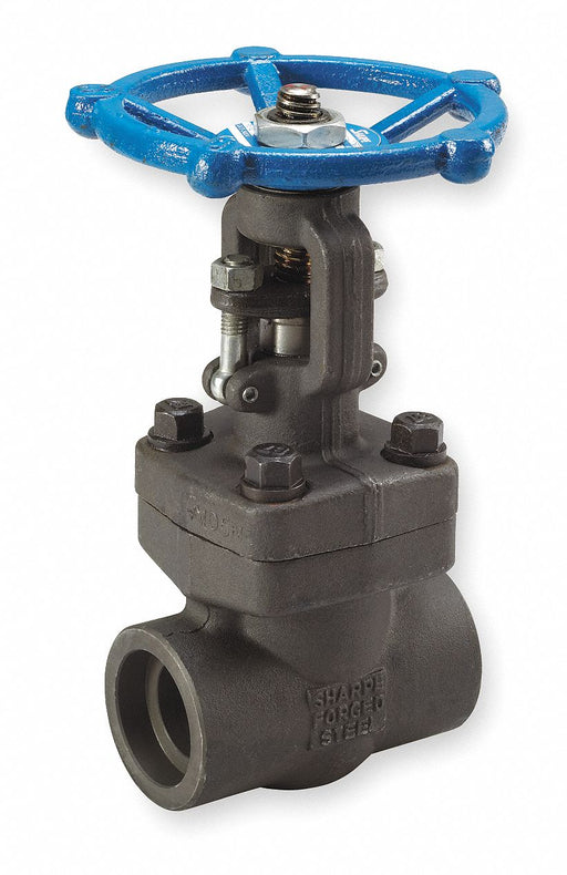 Gate Valve 1 Forged Steel Socket