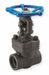 Gate Valve 1/4 Forged Steel Socket