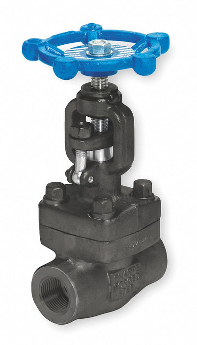 Globe Valve 1/2 Steel FNPT 1975 psi
