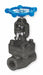 Globe Valve 1-1/2 Steel FNPT 1975 psi