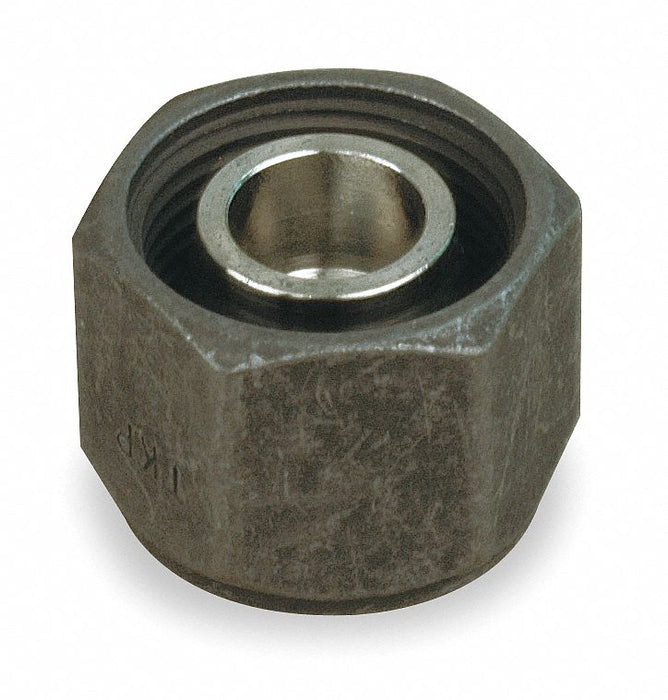 Plug StainlessSteel Compression3/8in