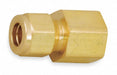 Straight Brass Comp.1/4in FNPT1/4in