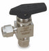 Manual 2-Way Ball Valve Comp 316 SS