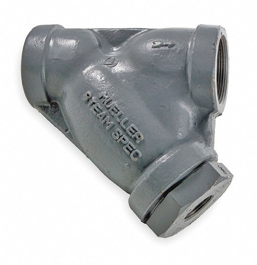 Y Strainer 5 3/4 H 0.062 Perf SS