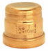 Cap Copper Press-fit 3 in