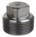 Square Head Plug 304 SS 1/8 in MNPT