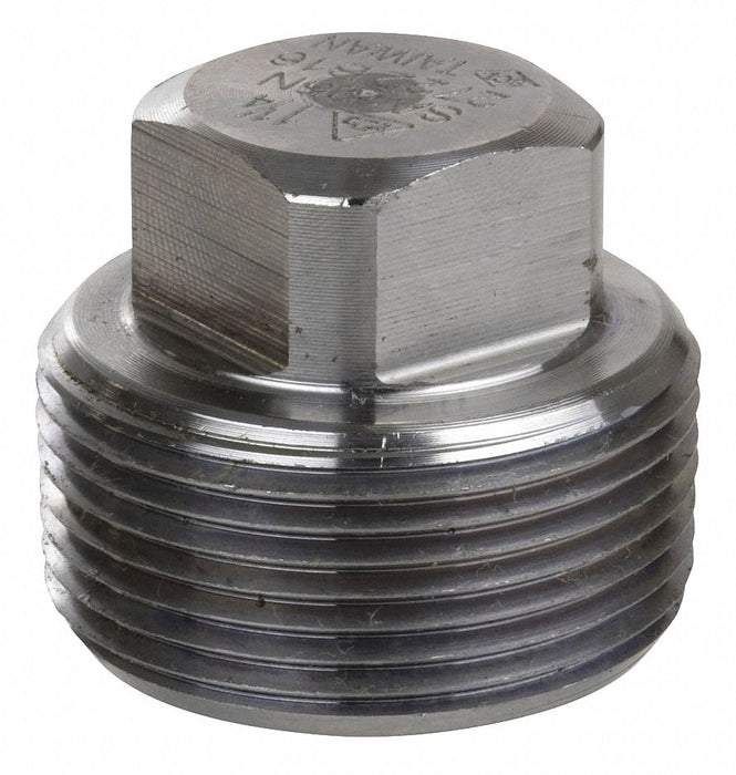 Square Head Plug 304 SS 3/4 in MNPT