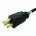 Power Cord 12 ft Black 12 AWG