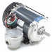 Motor 1/3 HP 1725 rpm 56 115V