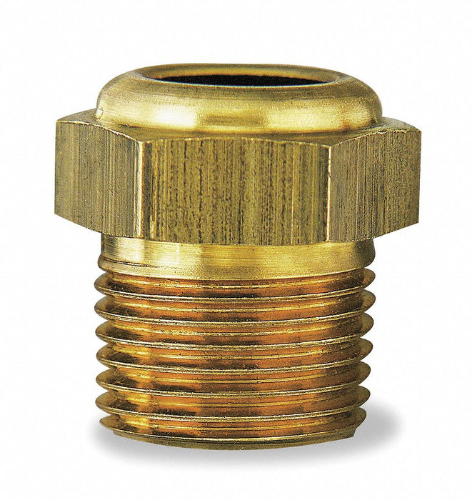 Gage Sight Plug Lo PSI