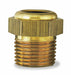 Gage Sight Plug Lo PSI