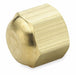 Cap Brass Flared 1/4 in PK10