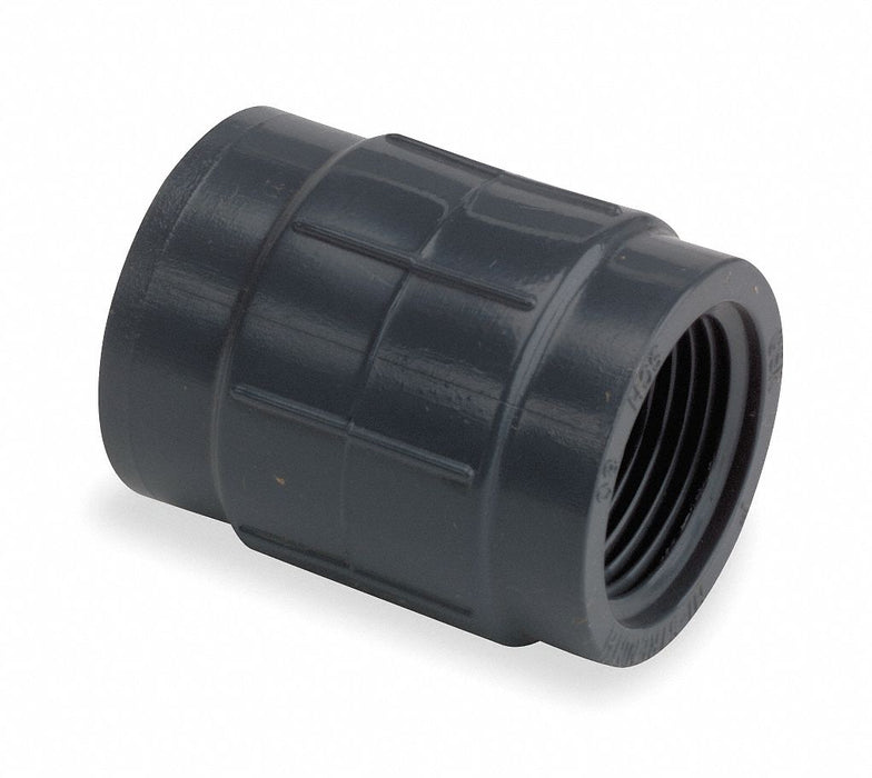 PVC Straight 2 1/2 in 2 1/2 in NPT