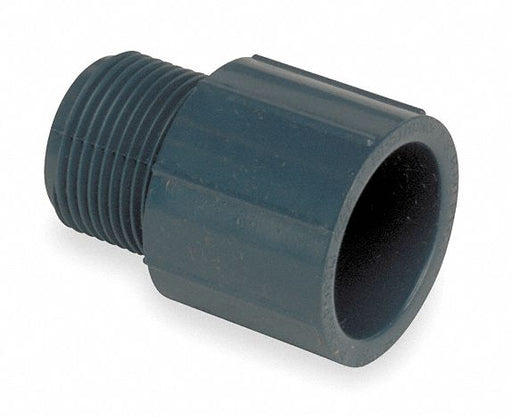 PVC Straight 2 1/2 in 2 1/2 in NPT
