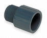 PVC Straight 2 1/2 in 2 1/2 in NPT