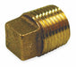 Cored Plug Red Brass 1/2 in Male NPT