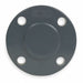 BlindFlange 43/4in Schedule80 Blind