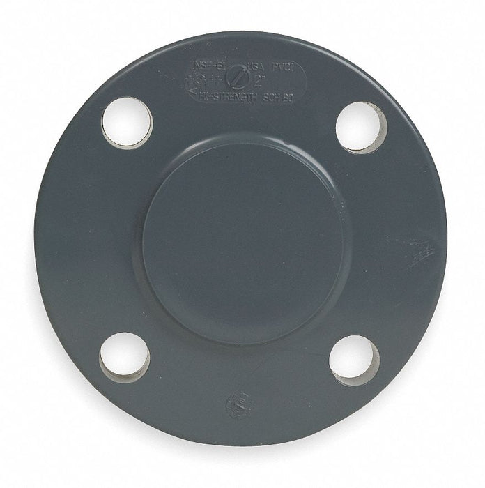 Blind Flange 6 in Schedule 80 Blind
