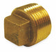 Cored Plug Red Brass 1 1/4 in MNPT