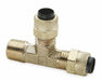 Tee Brass Comp1/4 MNPT1/8 PK10