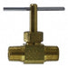 Needle Valve Straight Brass 1/8 in MNPT