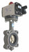 Butterfly Valve Spring Rtrn Iron 2-1/2In