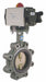 Butterfly Valve Spring Return Iron 6 In.