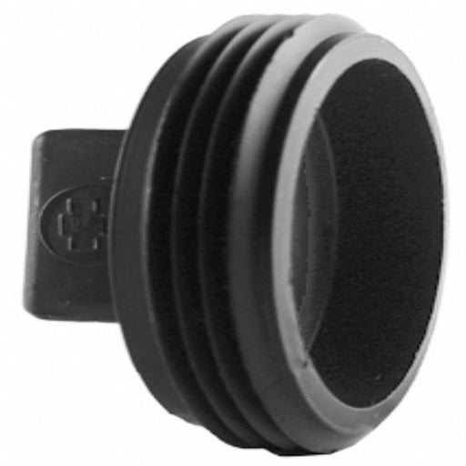 Cleanout Plug 2 in Schedule 40 MNPT