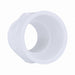PVC Straight 1 1/4 in NPT 1 1/4 in