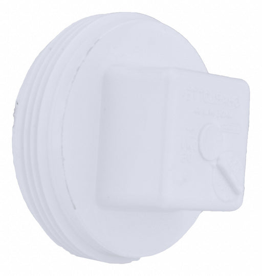 Cleanout Plug Schedule 40 2 in MNPT
