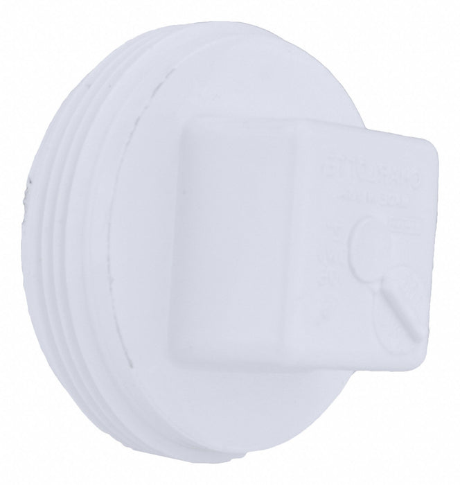 Cleanout Plug Schedule 40 2 in MNPT