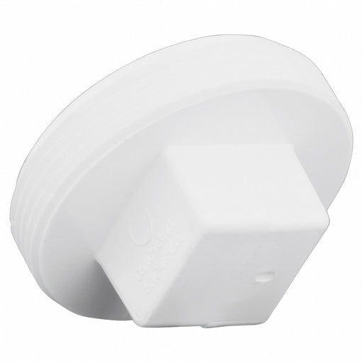 Cleanout Plug Schedule 40 3 in MNPT