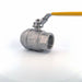 Manual 2-Way Ball Valve NPT 316 SS