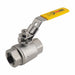 Manual 2-Way Ball Valve NPT 316 SS