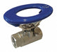 Manual 2-Way Ball Valve NPT 316 SS