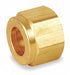 Nut Brass Compression 1/2 in